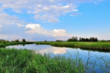 MBR南水北調(diào)水源地應(yīng)用加碼 市場拉升動力強勁